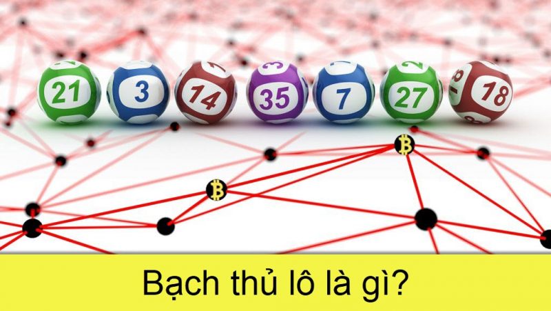 Bạch thủ lô là gì?